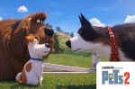 Pets 2 (4) | Kino und Filme | Artikeldienst Online