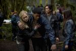 The 100 - Die komplette erste Staffel (2) | Kino und Filme | Artikeldienst Online